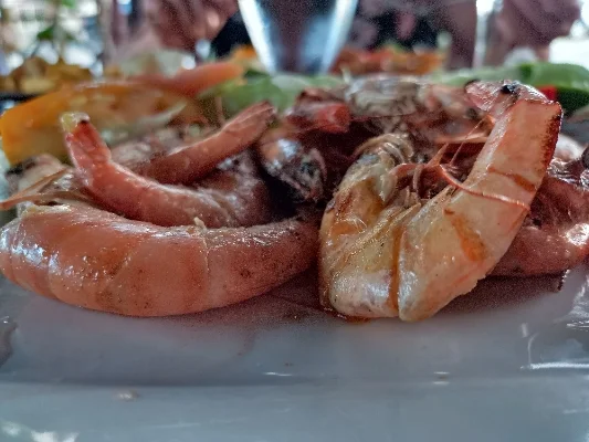 Mariscos locales servidos en un plato